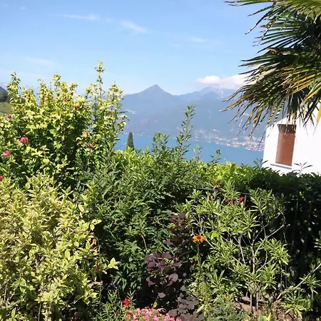 Balcone Fiorito