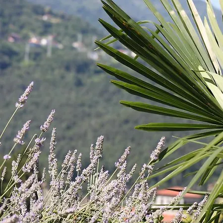 Balcone Fiorito * Menaggio