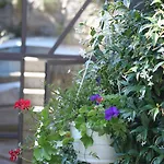 Couette-café Balcone Fiorito