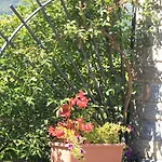 Couette-café Balcone Fiorito