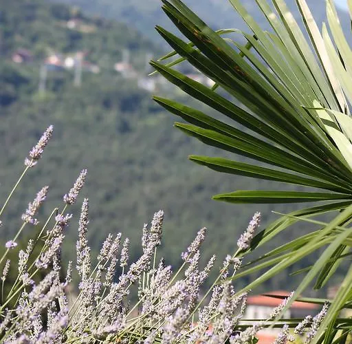 Balcone Fiorito 3* Менаджо