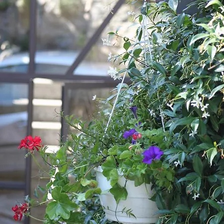 Bed and breakfast Balcone Fiorito